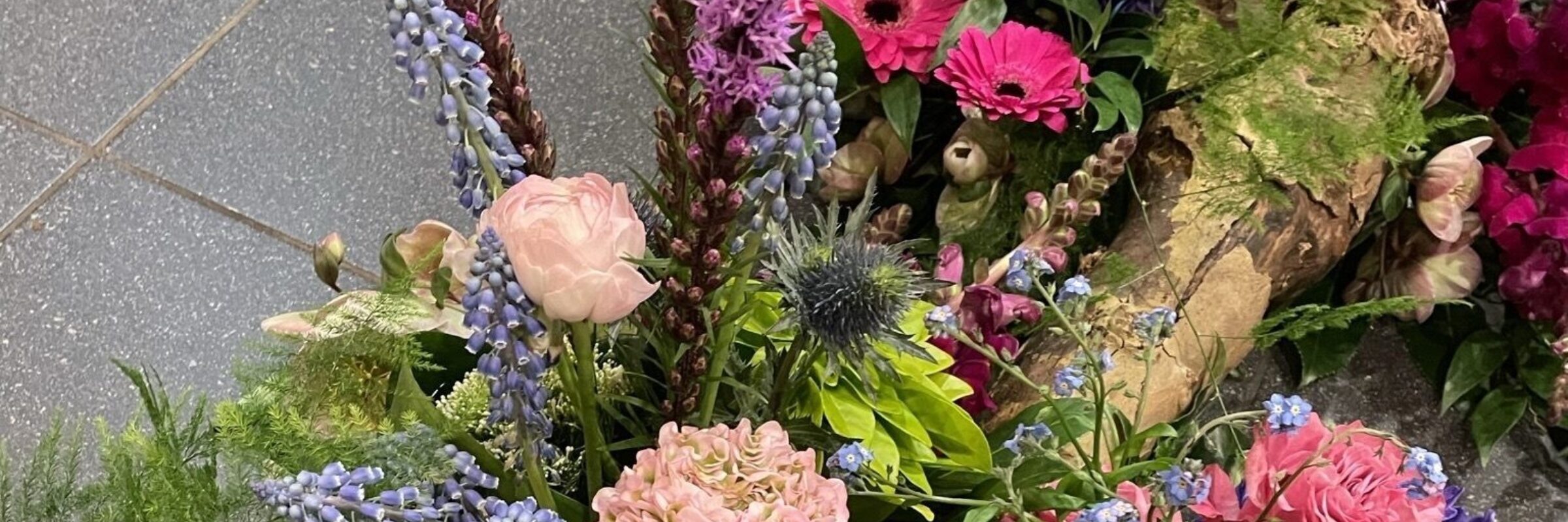 Bloemen van Dingelstad Bloemen van Dingelstad